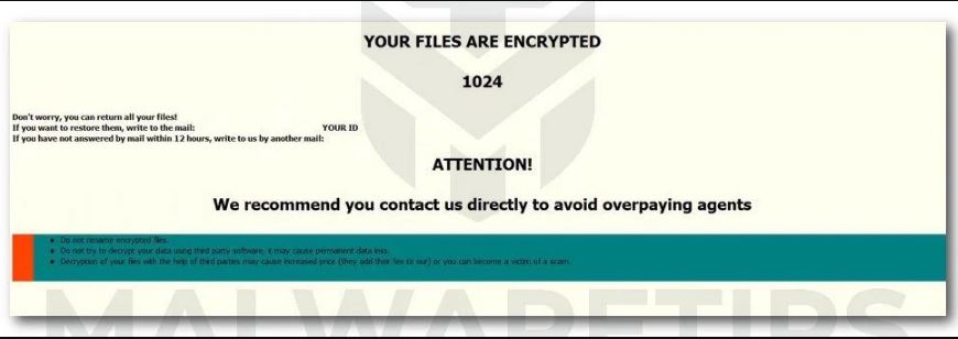 CIP ransomware